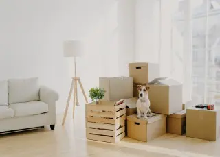 Exclusive Moving Leads
