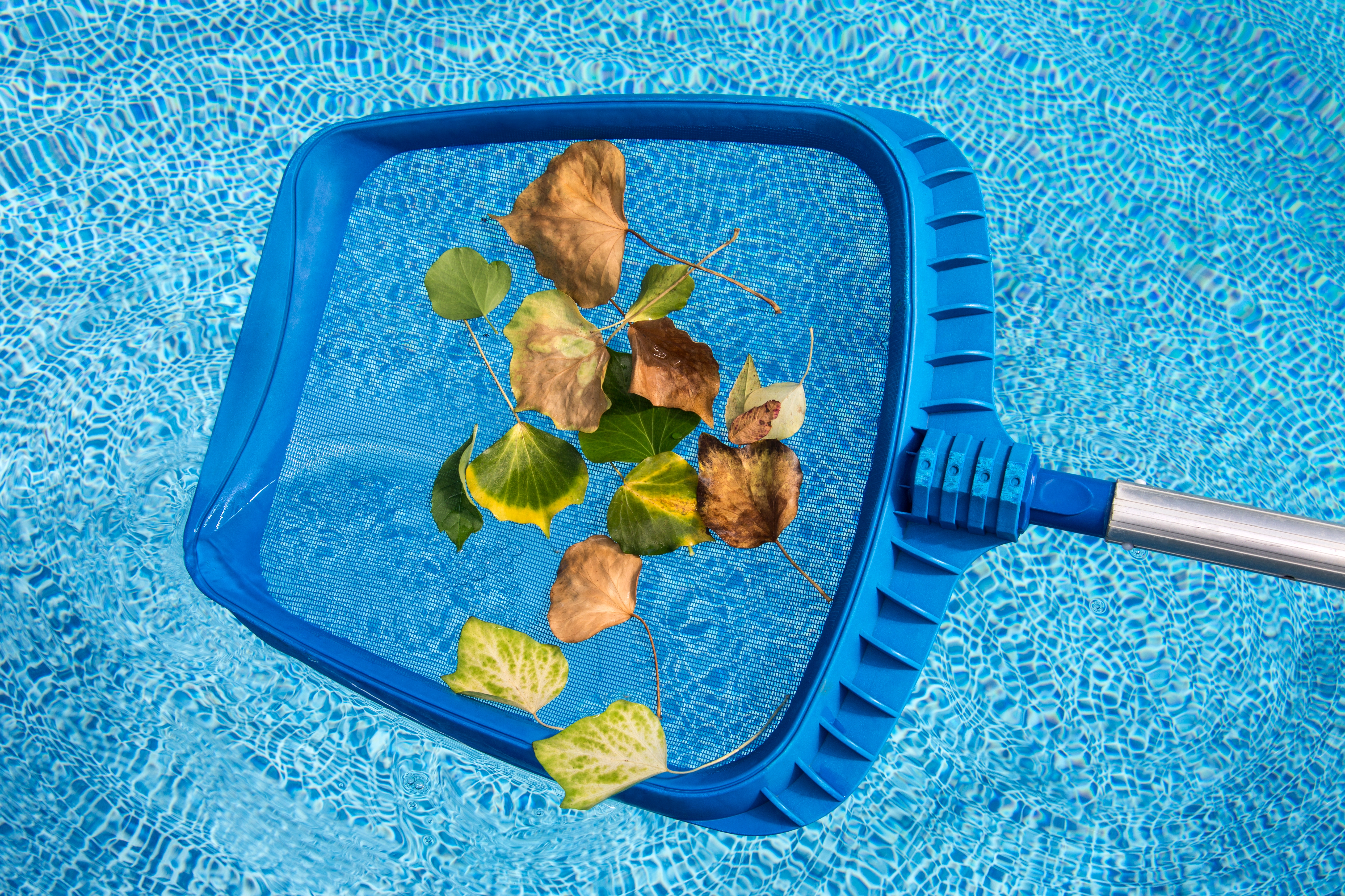 Exclusive-Pool-Maintenance-Leads--in-San-Francisco-California-Exclusive-Pool-Maintenance-Leads-37366-image