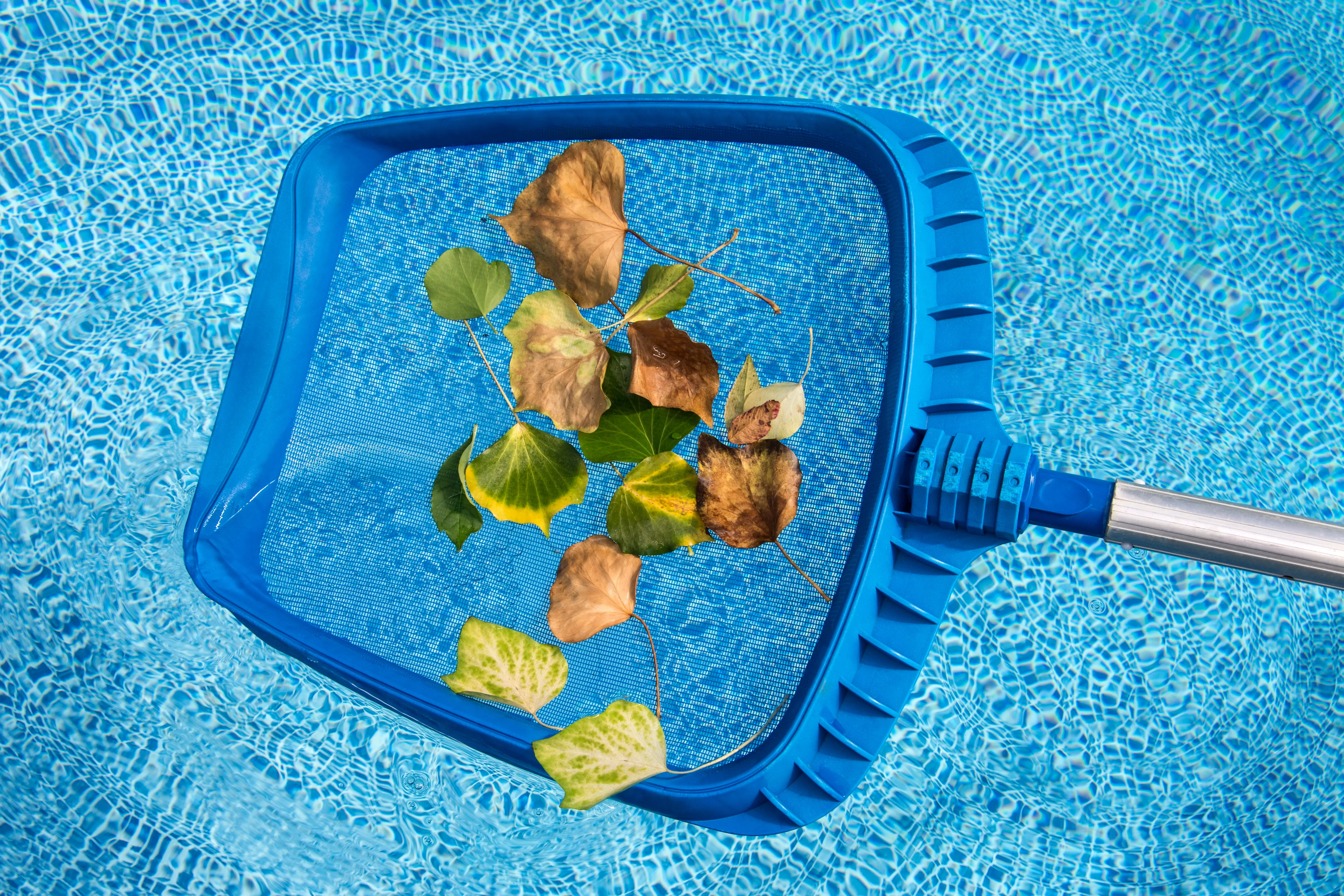 Exclusive Pool Maintenance Leads | The Client Connector