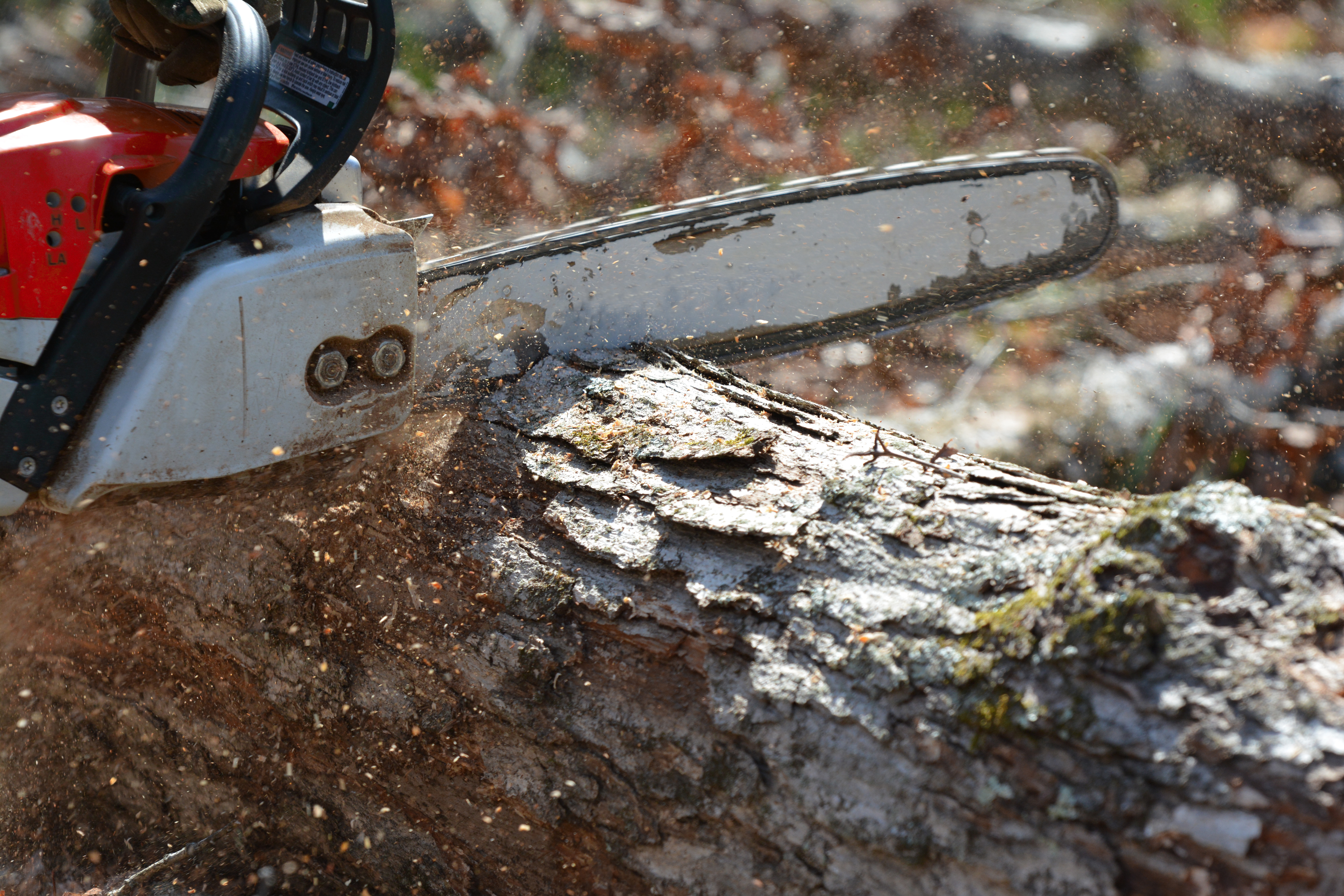 Exclusive-Tree-Service-Leads--in-Irvine-California-Exclusive-Tree-Service-Leads-12857-image