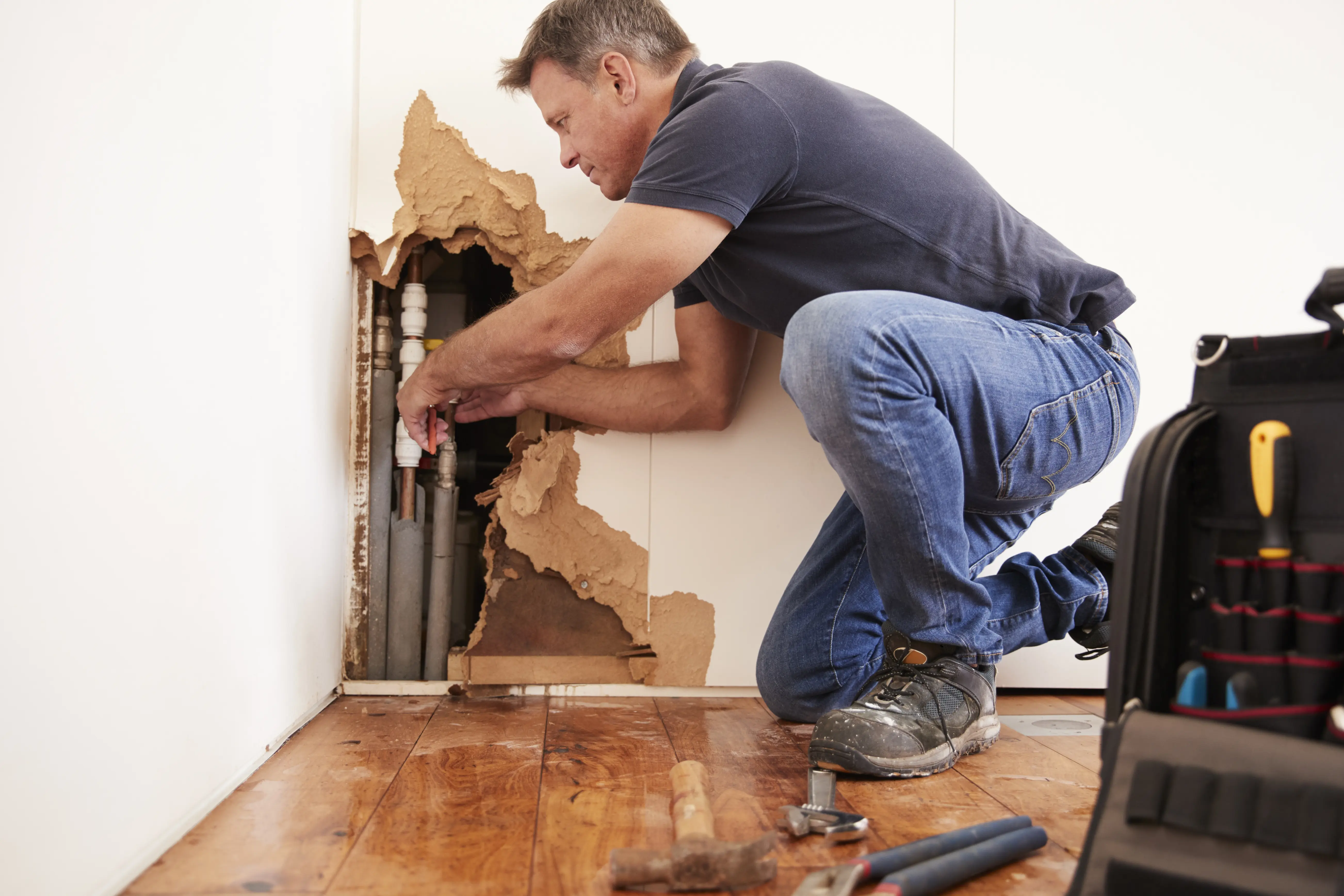 Exclusive-Water-Damage-Leads--in-Toledo-Ohio-Exclusive-Water-and-Fire-Damage-Leads-26432-image