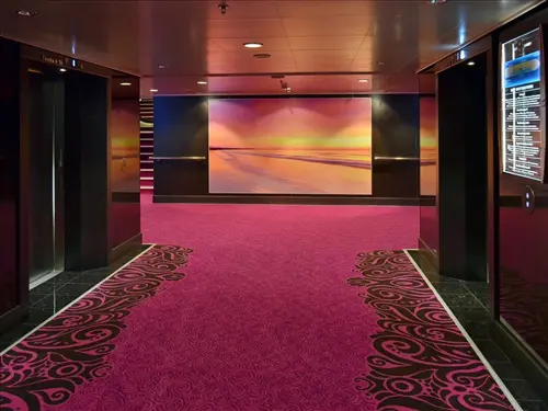 Exclusive-Carpet-Cleaning-Leads--in-Chandler-Arizona-exclusive-carpet-cleaning-leads-chandler-arizona-1.jpg-image