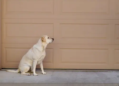 Exclusive Garage Door Leads | The Client Connector