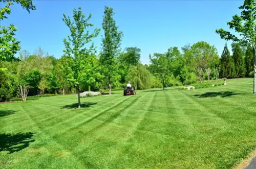 Exclusive Lawn Care Leads | The Client Connector