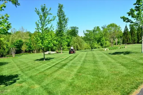 Exclusive-Lawn-Care-Leads--in-Albuquerque-New-Mexico-exclusive-lawn-care-leads-albuquerque-new-mexico-10.jpg-image