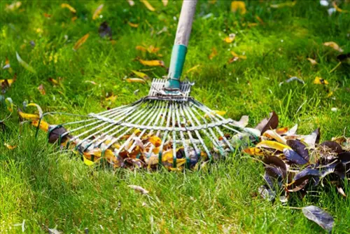 Exclusive -Lawn -Care -Leads--in-Albuquerque-New-Mexico-exclusive-lawn-care-leads-albuquerque-new-mexico-7.jpg-image