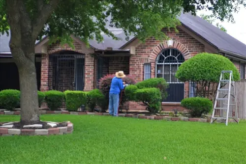 Exclusive-Lawn-Care-Leads--in-Arlington-Texas-exclusive-lawn-care-leads-arlington-texas-8.jpg-image