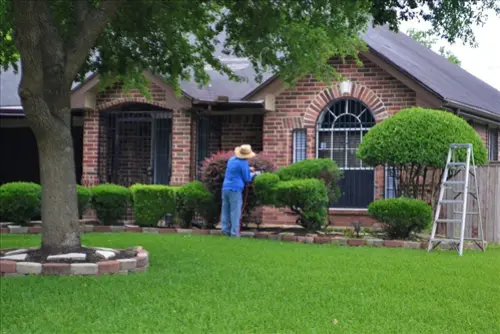 Exclusive -Lawn -Care -Leads--in-Austin-Texas-exclusive-lawn-care-leads-austin-texas-8.jpg-image