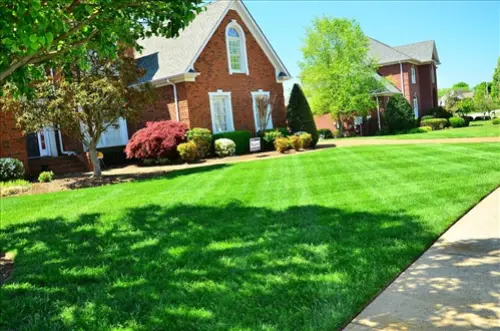 Exclusive Lawn Care Leads