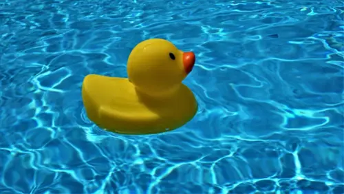 Exclusive-Swimming-Pool-Leads--in-Virginia-Beach-Virginia-exclusive-swimming-pool-leads-virginia-beach-virginia.jpg-image